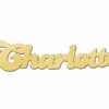 Vergulde naamketting model Charlotte Gepersonaliseerd