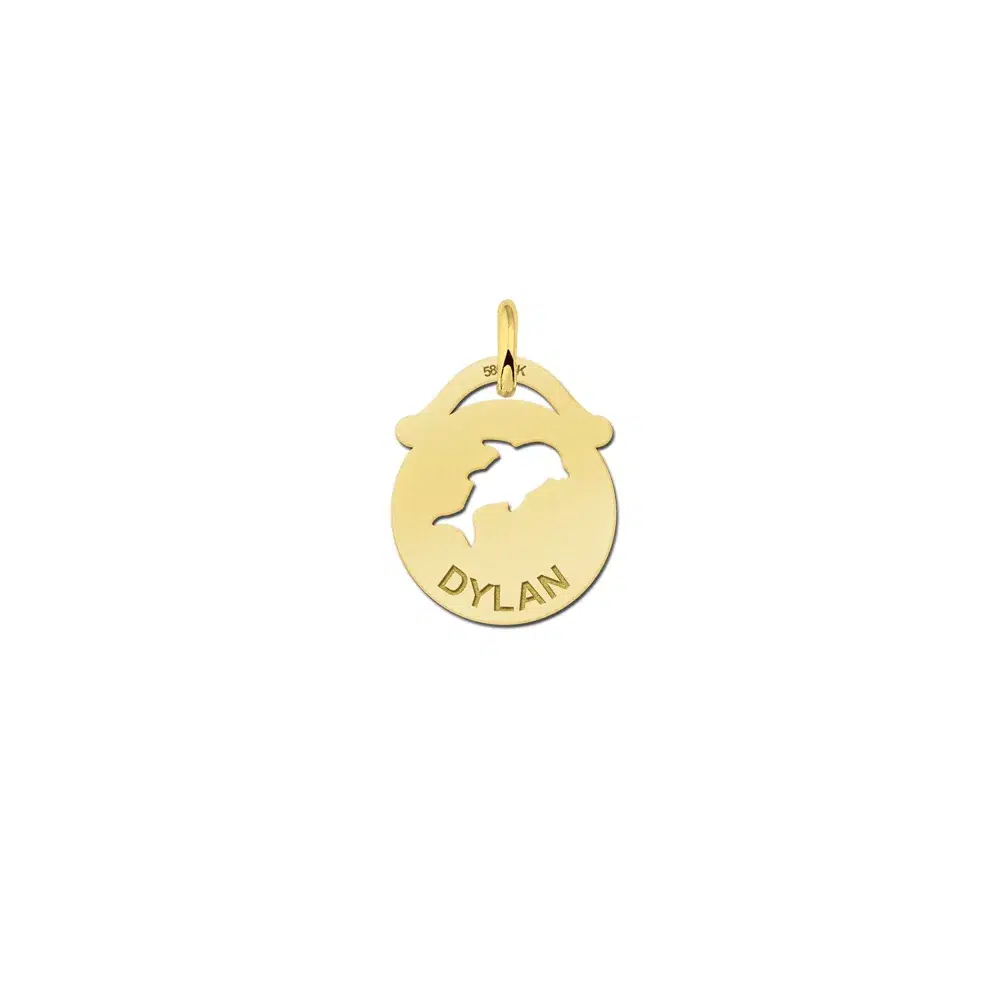Gouden hangertje dolfijn met naam